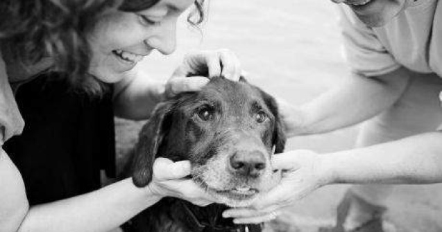 20 imagini cutremuratoare cu stapanii care isi iau adio de la animalele de companie