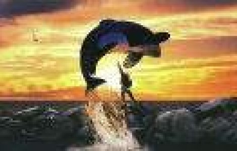  Top  TOP 10 afise care strica finalul filmelor