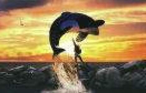  Top  TOP 10 afise care strica finalul filmelor