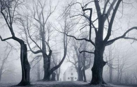 Peisajele lui Kilian Schonberger iti dau fiori. 10 fotografii stranii