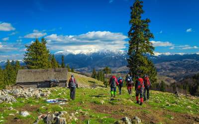 Descoperă cele mai accesibile...