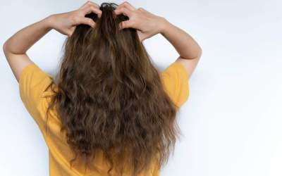 Descoperă adevărul din...