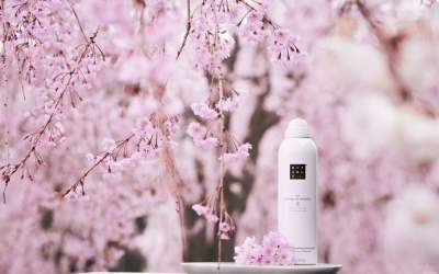 Descoperă noua destinație de...