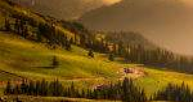 Carpatia salbatica, CEL MAI FRUMOS DOCUMENTAR despre Romania, cucereste lumea!