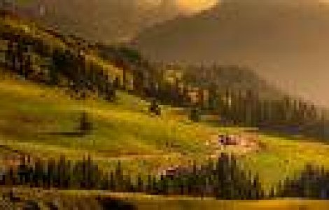 Carpatia salbatica, CEL MAI FRUMOS DOCUMENTAR despre Romania, cucereste lumea!