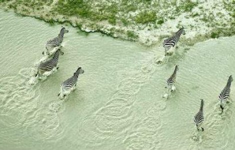 Botswana: Paradisul african in 8 fotografii aeriene spectaculoase
