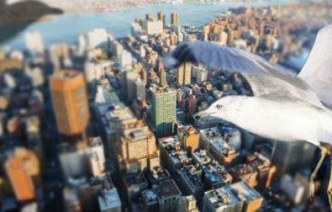 FOTO superb: Cum ar fi daca ai putea zbura ca o pasare