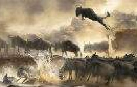  Top  20 imagini SUPERBE de la Sony World Photography Awards 2014