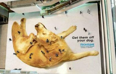 Top: 15 reclame destepte care iti vor atrage atentia