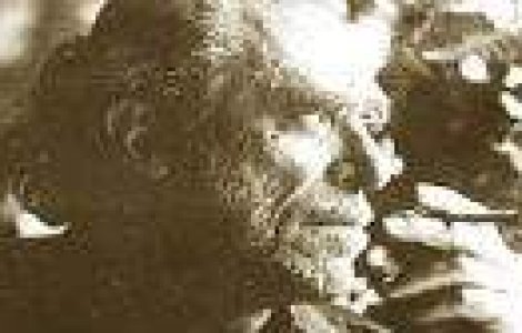 Cum sa-ti traiesti viata din plin: 10 sfaruri date de Charles Bukowski