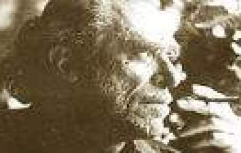 Cum sa-ti traiesti viata din plin: 10 sfaruri date de Charles Bukowski