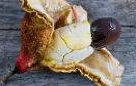 Top 10 mancaruri riscante: Otrava din farfurie