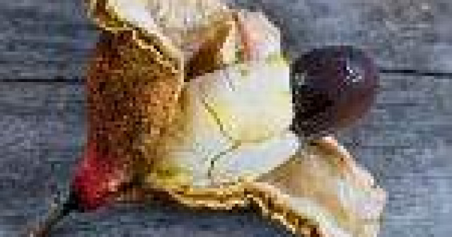 Top 10 mancaruri riscante: Otrava din farfurie