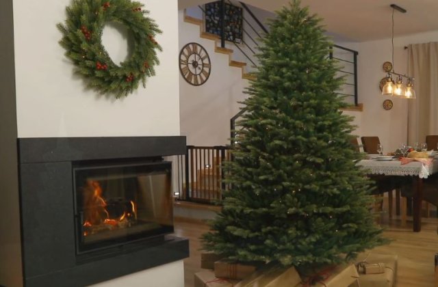 Țări ce au transformat &icirc;n importantă sărbătoare &icirc;mpodobitul bradului 