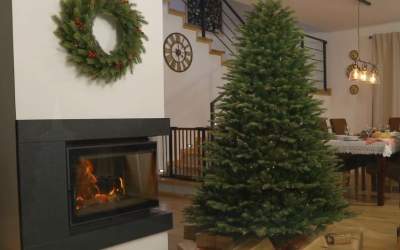 Țări ce au transformat în...