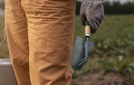 5 sfaturi pentru întreținerea culturilor agricole