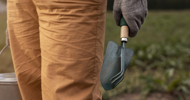 5 sfaturi pentru întreținerea culturilor agricole