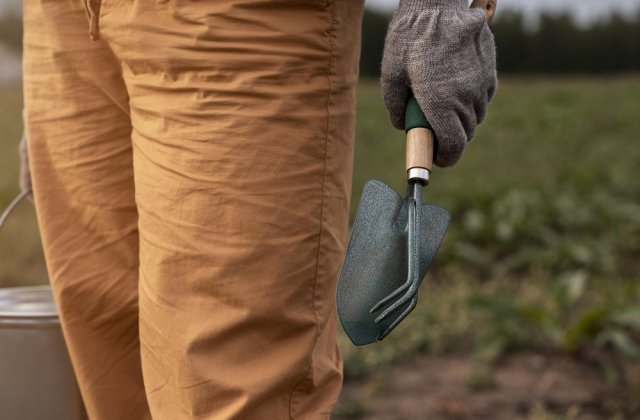 5 sfaturi pentru &icirc;ntreținerea culturilor agricole