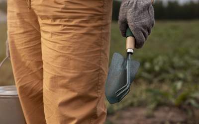 5 sfaturi pentru întreținerea...