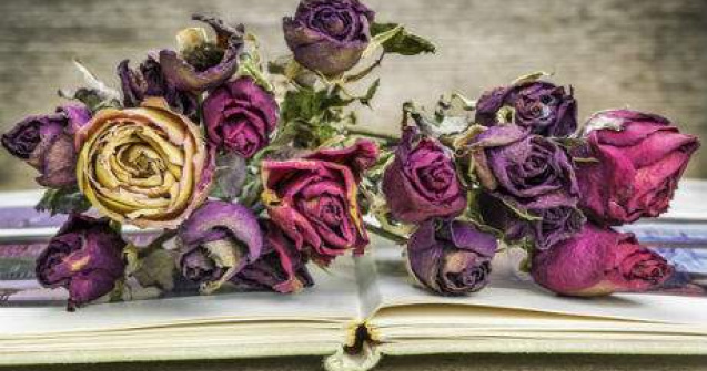 Carti care te fac sa plangi: 8 povesti triste