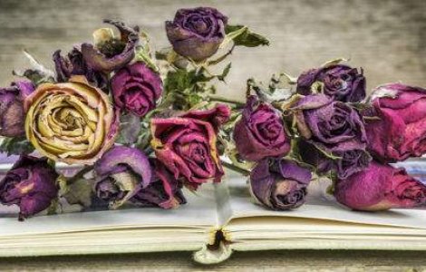 Carti care te fac sa plangi: 8 povesti triste