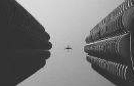  Top  Iti vine sa crezi ca aceste poze au fost facute cu un iPhone?