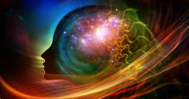 Creierul uman: 7 mituri demascate