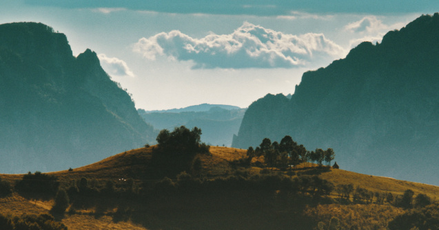 Premieră pentru România: „CATANE”, filmul regizat de Ioana Mischie