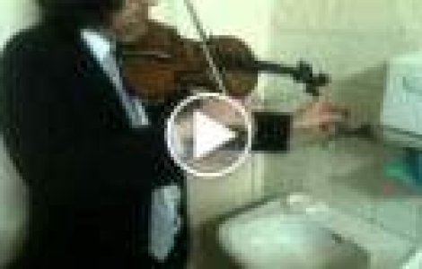 Concert cu o vioara si o chiuveta stricata