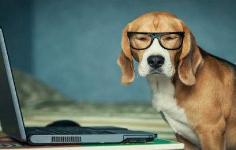  Top  Colectie de ghicitori amuzante pentru inceputul saptamanii