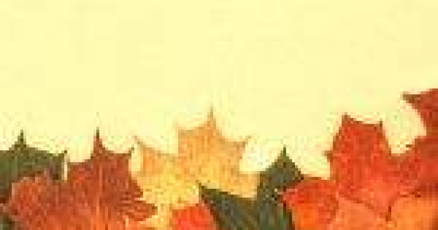 Este luna septembrie! TOP 20 ghicitori despre toamna