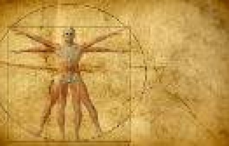 3 mituri despre corpul uman pe care le crezi adevarate