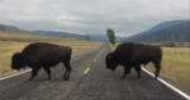 10 clipuri excelente cu cea mai noua aplicatie Instagram: Hyperlapse