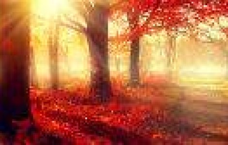 10 motive pentru care iubim toamna