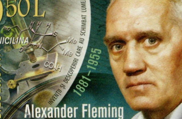 Cine a inventat penicilina? Descoperirea primului antibiotic din lume a salvat milioane de vieți