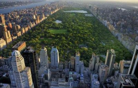  Top  Oaza din mijlocul betonului - cele mai frumoase parcuri din lume