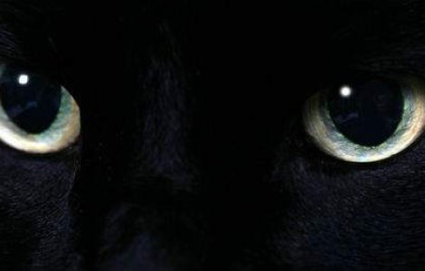 Ceasul rau: 7 superstitii ciudate din intreaga lume. Crezi in ele?