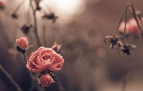  Top  De ce iubim toamna: 10 imagini care vorbesc de la sine