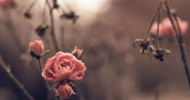  Top  De ce iubim toamna: 10 imagini care vorbesc de la sine