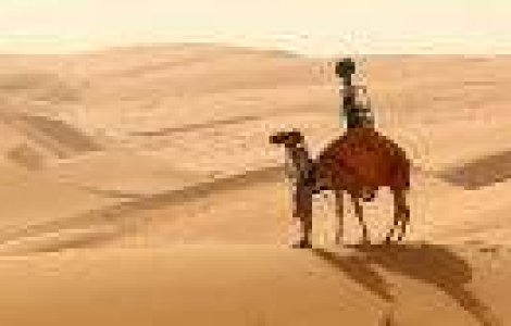 Google a pus o camera pe spatele unei camile pentru a fotografia desertul