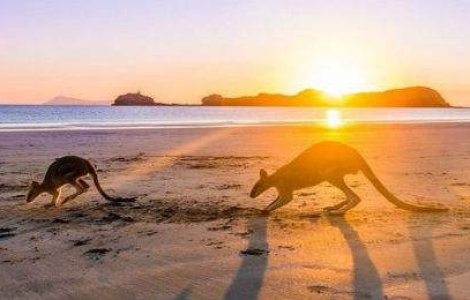 Am calatorit 40.000 km in jurul Australiei si vreau sa va arat aceste imagini