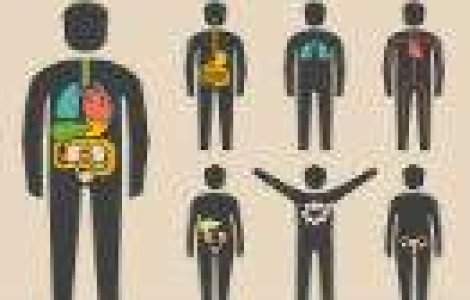 Mai avem nevoie de ele? TOP 10 organe pe care nu le mai folosim