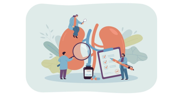 Când mergi la urolog? Când mergi la nefrolog?