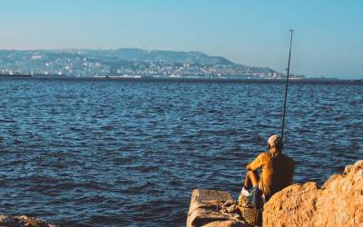 De ce să folosești...