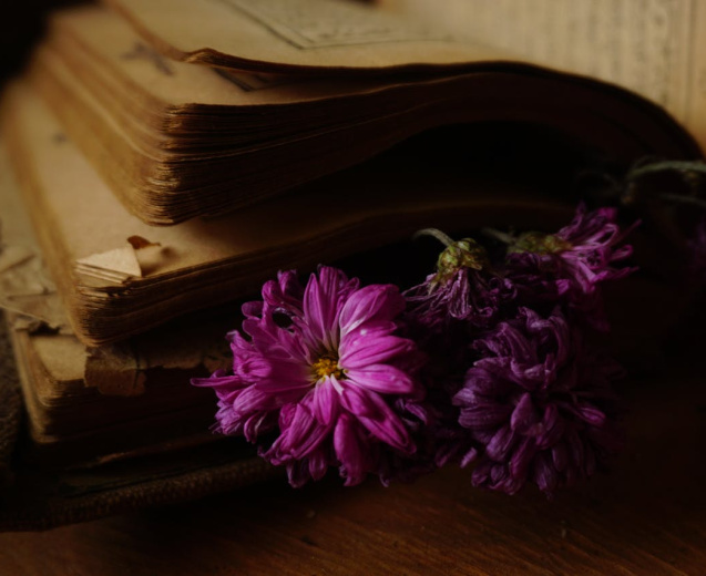 30+ Poezii și versuri de dragoste pe care merită să le citești