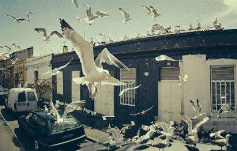  Top  20 imagini incredibile surprinse de Google Street View. Numarul 8 este de vis