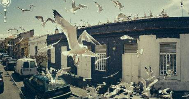  Top  20 imagini incredibile surprinse de Google Street View. Numarul 8 este de vis