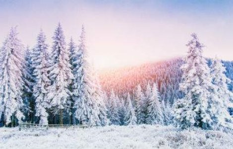  Top  Tablou de iarna: 10 peisaje de care nu te vei mai satura