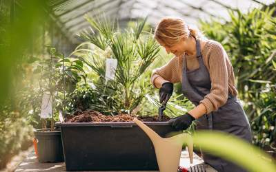 Rezultatele bune se datorează...
