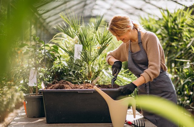 Rezultatele bune se datorează meșterilor buni